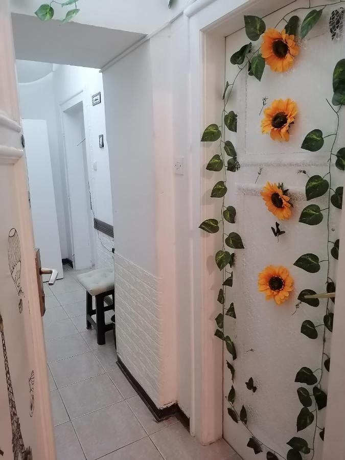 Low Cost Apartment Beograd Ngoại thất bức ảnh